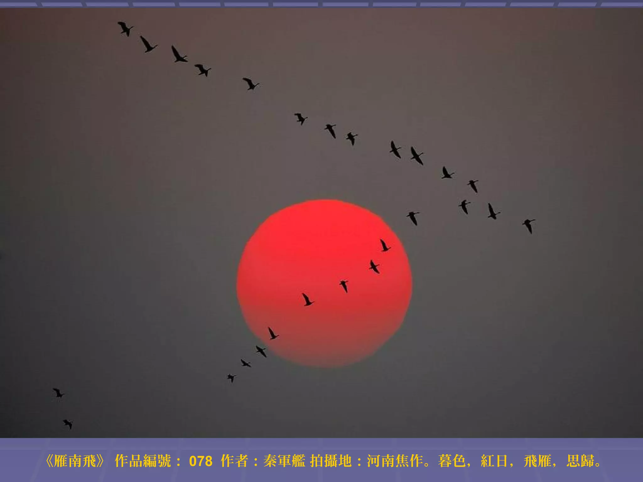 《雁南飛》 作品編號： 078 作者：秦軍艦 拍攝地：河南焦作。暮色，紅日，飛雁，思歸。

 