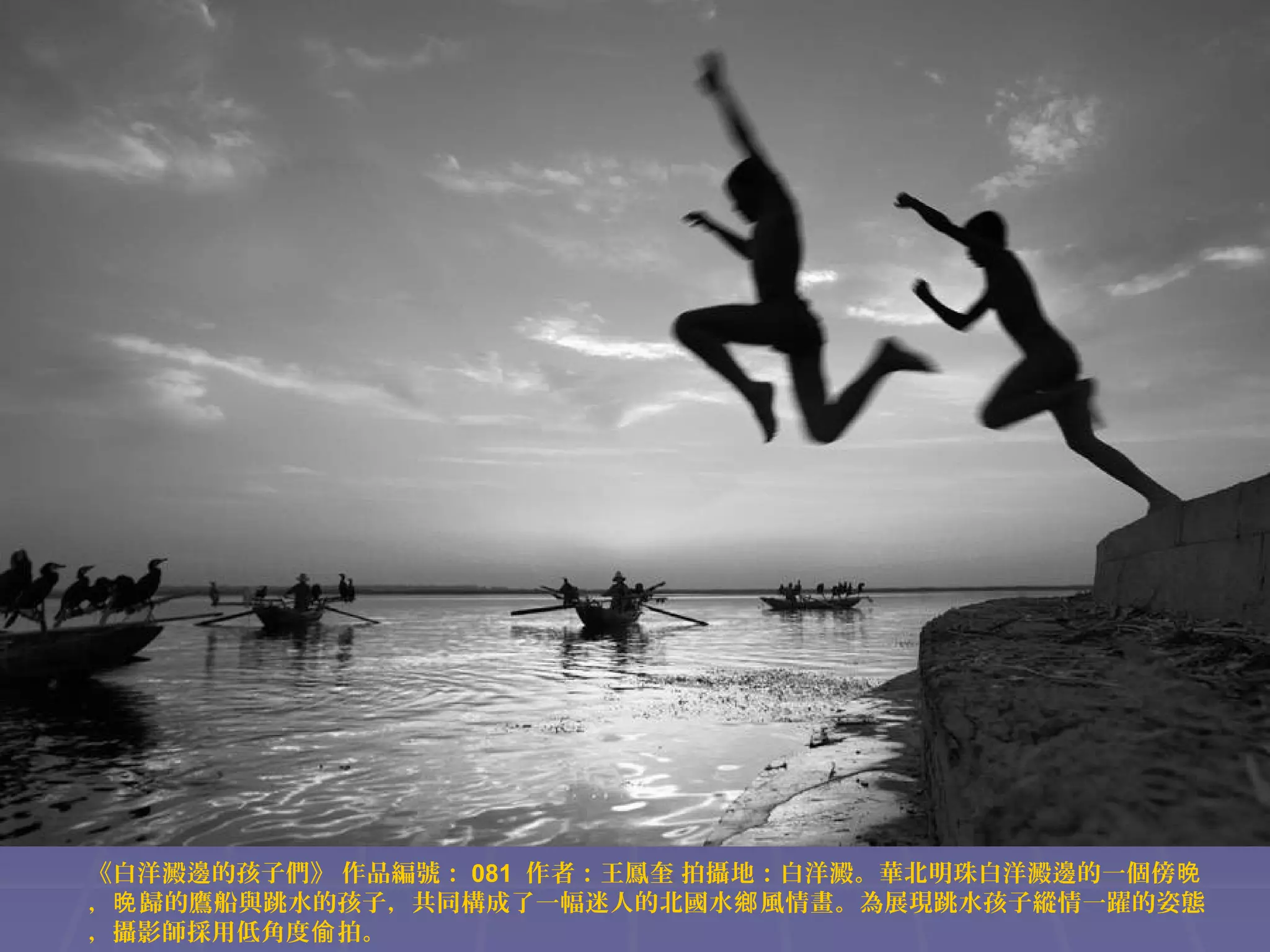 《白洋澱邊的孩子們》 作品編號： 081 作者：王鳳奎 拍攝地：白洋澱。華北明珠白洋澱邊的一個傍晚
，晚 歸的鷹船與跳水的孩子，共同構成了一幅迷人的北國水鄉 風情畫。為展現跳水孩子縱情一躍的姿態
，攝影師採用低角度偷 拍。

 