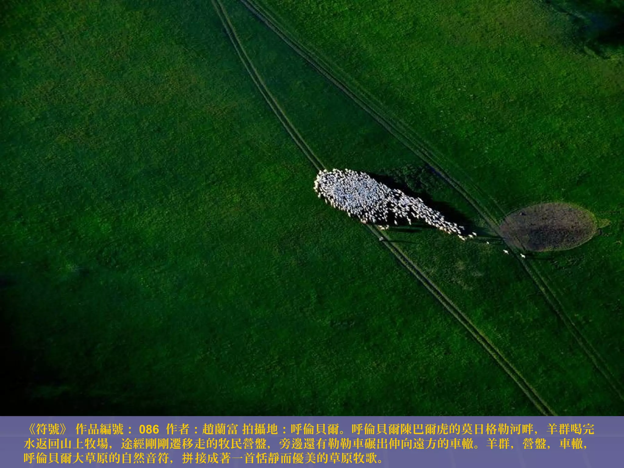 《符號》 作品編號： 086 作者：趙蘭富 拍攝地：呼倫貝爾。呼倫貝爾陳巴爾虎的莫日格勒河畔，羊群喝完
水返回山上牧場，途經剛剛遷移走的牧民營盤，旁邊還有勒勒車碾出伸向遠方的車轍。羊群，營盤，車轍，
呼倫貝爾大草原的自然音符，拼 接成著一首恬靜而優美的草原牧歌。

 