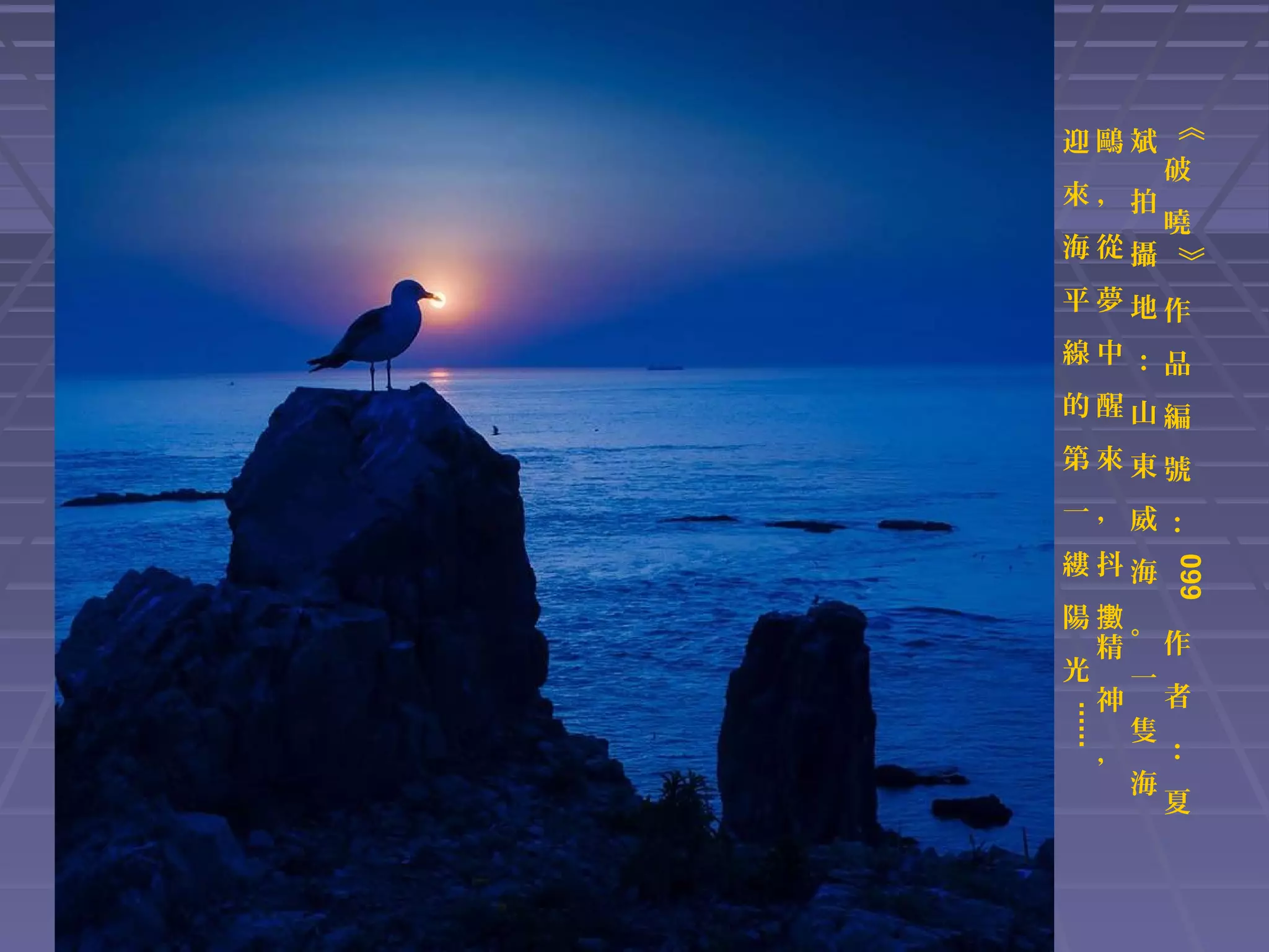 來，拍

破
曉
》

海從攝

《

迎鷗斌

平夢地作
線中：品
的醒山編
第來東號
一，威：
099

縷抖海

......

陽擻。
精 作
光 一
神 者
隻
， ：
海
夏

 