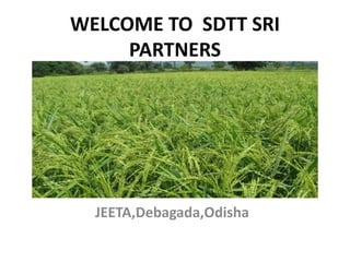 WELCOME TO SDTT SRI
PARTNERS
JEETA,Debagada,Odisha
 