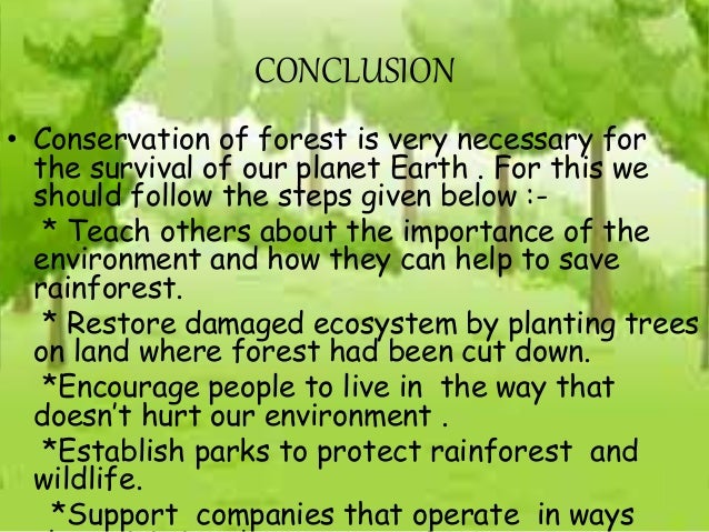 Jeet sst forest product