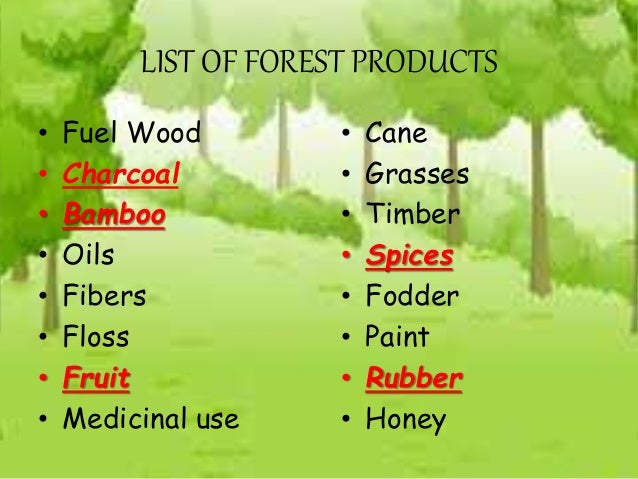 jeet-sst-forest-product