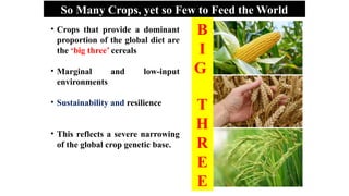 de novo domestication next generation approach to crop improvement.pptx