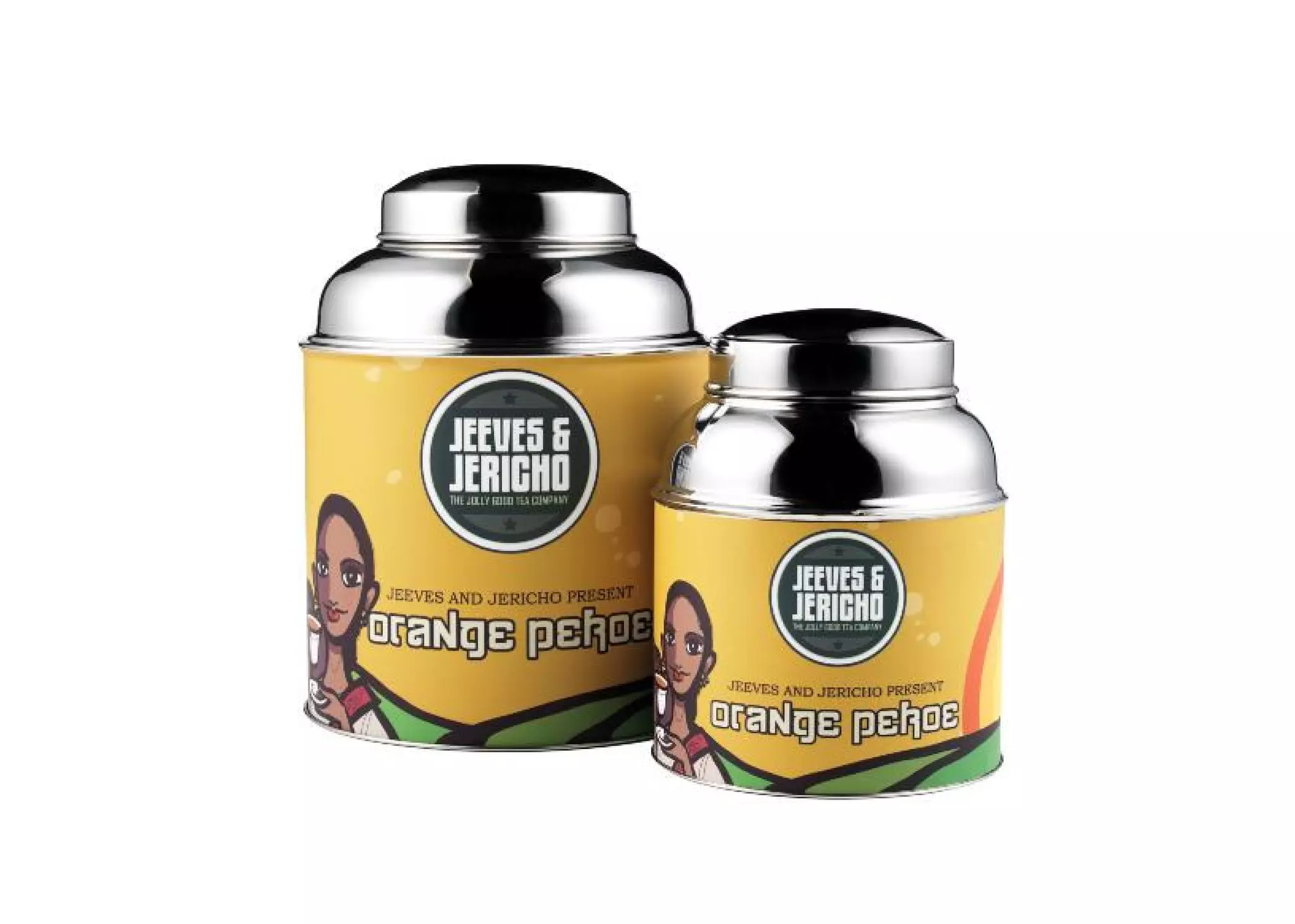 Jeeves & Jericho Company Brochure PPT