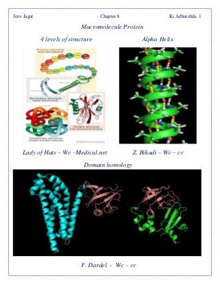 Jeev Jagat Chapter 8 Ki Adharshila 1
Macromolecule Protein
4 levels of structure Alpha Helix
Lady of Hats – Wc –Medical.net Z. Bikadi – Wc – cc
Domain homology
F. Dardel - Wc - cc
 