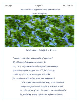 Jeev Jagat Chapter 3 Ki Adharshila
Role of various organelles in cellular processes
Moss Chloroplasts
Kristian Peters Fabelfroh - Wc – cc
I am the chloroplast an organelle of a plant cell
My chlorophyll pigments are famous for
they carry on photosynthesis by capturing suns energy
generating sugars , oxygen and ATP full of energy
producing food to eat and oxygen to breathe
for the whole world indeed from time immemorial.
I also produce fatty acids and many other chemicals
and play important role in defense activities as well;
As cell’s sensor of stress I caution & protect other cells
by producing timely signals and defense molecules .
 
