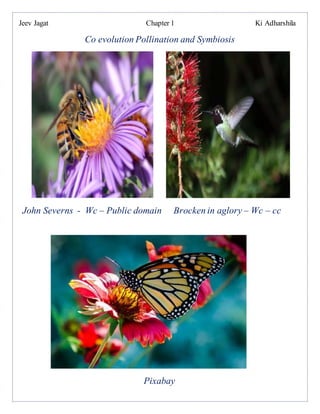 Jeev Jagat Chapter 1 Ki Adharshila
Co evolution Pollination and Symbiosis
John Severns - Wc – Public domain Brocken in aglory – Wc – cc
Pixabay
 