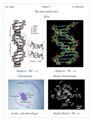 Jeev Jagat Chapter 8 ki Adharshila
Bio macromolecules
DNA
Zephyris – WC – cc Zephyris – Wc – cc
Chromosome Human chromosomes
us nlm – ghr.nlm.nih.gov Steffen Dietzel – Wc –cc
 
