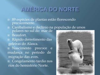 AMÉRICA DO NORTE89 espécies de plantas estão florescendo precocemente.Canibalismo e declínio na população de ursos polares no sul do mar de Beaufort.Rápido derretimento das geleiras do Alasca.Nascimento precoce e mudança no período de migração das aves.Congelamento tardio nos rios do hemisfério Norte.