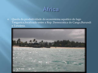 ÁfricaQueda da produtividade do ecossistema aquático do lago Tanganica,localizado entre a Rep. Democrática do Cango,Burundi e Tanzânia.
