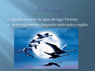 AustráliaQueda no nível de água do lago Victoria.Aves migratórias chegando mais cedo a região.