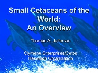 Small Cetaceans of theSmall Cetaceans of the
World:World:
An OverviewAn Overview
Thomas A. JeffersonThomas A. Jefferson
Clymene Enterprises/CetosClymene Enterprises/Cetos
Research OrganizationResearch Organization
 