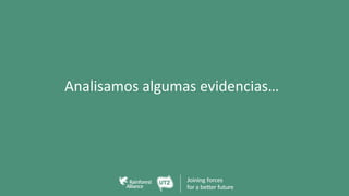 Analisamos algumas evidencias…
 