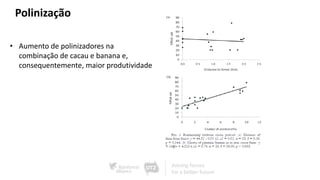 Polinização
• Aumento de polinizadores na
combinação de cacau e banana e,
consequentemente, maior produtividade
 