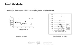 Produtividade
• Aumento de sombre resulta em redução de produtividade
Soto-Pinto et al., 2000Asare et al.,2018
 