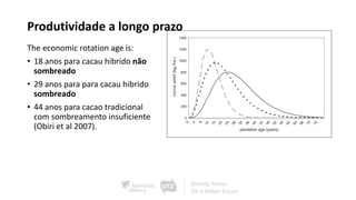 Produtividade a longo prazo
The economic rotation age is:
• 18 anos para cacau hibrido não
sombreado
• 29 anos para para cacau hibrido
sombreado
• 44 anos para cacao tradicional
com sombreamento insuficiente
(Obiri et al 2007).
 