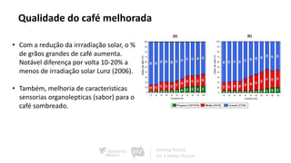 Qualidade do café melhorada
• Com a redução da irrradiação solar, o %
de grãos grandes de café aumenta.
Notável diferença por volta 10-20% a
menos de irradiação solar Lunz (2006).
• Também, melhoria de caracteristicas
sensorias organolepticas (sabor) para o
café sombreado.
 