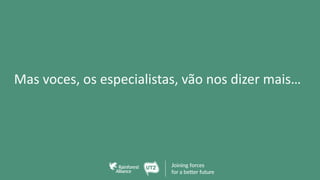 Mas voces, os especialistas, vão nos dizer mais…
 