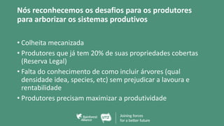 Nós reconhecemos os desafios para os produtores
para arborizar os sistemas produtivos
• Colheita mecanizada
• Produtores que já tem 20% de suas propriedades cobertas
(Reserva Legal)
• Falta do conhecimento de como incluir árvores (qual
densidade idea, species, etc) sem prejudicar a lavoura e
rentabilidade
• Produtores precisam maximizar a produtividade
 