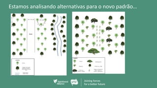 Estamos analisando alternativas para o novo padrão…
 