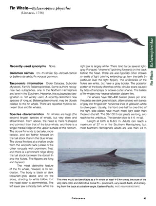 Animals Not Streamlined Jefferson et al_Marine Mammals of the World_Comprehensive Guide to ...