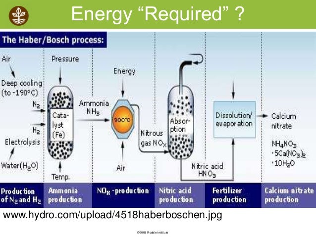 the production of ammonia and the haber process the production of ammonia and the haber process