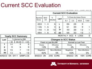 Current SCC Evaluation
 