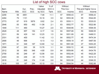 List of high SCC cows
 