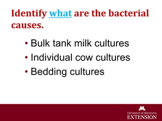 Identify what are the bacterial
causes.
• Bulk tank milk cultures
• Individual cow cultures
• Bedding cultures
 