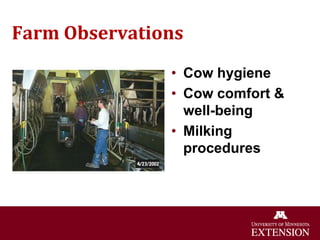 Farm Observations
• Cow hygiene
• Cow comfort &
well-being
• Milking
procedures
 