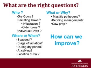 What are the right questions?
Who ?
•Dry Cows ?
•Lactating Cows ?
•1st lactation ?
•Older cows ?
•Individual Cows ?
Where or When?
•Seasonal?
•Stage of lactation?
•During dry period?
•At calving?
•Location / Pen ?
What or Why?
• Mastitis pathogens?
•Bedding management?
•Cow prep?
How can we
improve?
 