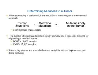 Determining Mutations in a Tumor
  When sequencing is performed, it can use either a tumor-only or a tumor-normal
approach
▪  Can be drivers or passengers
  The number of sequenced tumors is rapidly growing and it may limit the need for
sequencing a matched normal
▪  TCGA - 11,000 samples
▪  ICGC - 17,867 samples
  Sequencing a tumor and a matched normal sample is twice as expensive as just
doing the tumor
Tumor
Mutations - Germline
Mutations = Mutations only
in the Tumor
 