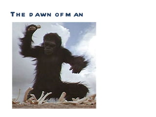 Runtime The dawn of man 