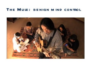 Runtime The Mule:  benign mind control 