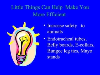 Little Things Can Help Make You
          More Efficient
            • Increase safety to
              animals
          ...
