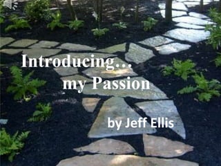 Introducing…
my Passion
by Jeff Ellis
 