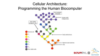 @ 
Cellular Architecture: Programming the Human Biocomputer 
 