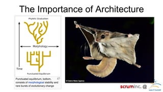 @ 
The Importance of Architecture 
 
