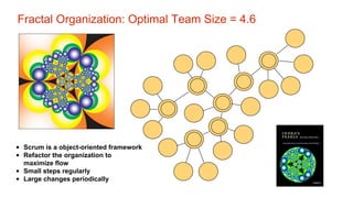 Fractal Organization: Optimal Team Size = 4.6 
•Scrum is a object-oriented framework 
•Refactor the organization to maximize flow 
•Small steps regularly 
•Large changes periodically  