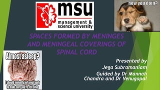 Presented by
Jega Subramaniam
Guided by Dr Mannah
Chandra and Dr Venugopal
SPACES FORMED BY MENINGES
AND MENINGEAL COVERINGS OF
SPINAL CORD
 