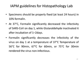 IAPM guidelines for Histopathology Lab
• Specimens should be properly fixed (at least 24 hours) in
10% formalin.
• At 37°C, Formalin significantly decreased the infectivity
of SARS-CoV on day 1, while Glutaraldehyde inactivated it
after incubation of 1–2days.
• Formalin significantly decreases the infectivity of the
virus on day 1 at a temperature of 37°C Temperature of
56°C for 90min, 67°C for 60min, or 75°C for 30min
rendered the virus non-infectious.
47
 