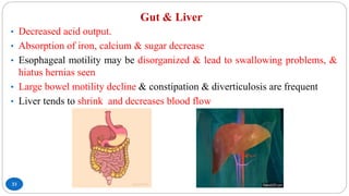 Gut & Liver
33
• Decreased acid output.
• Absorption of iron, calcium & sugar decrease
• Esophageal motility may be disorganized & lead to swallowing problems, &
hiatus hernias seen
• Large bowel motility decline & constipation & diverticulosis are frequent
• Liver tends to shrink and decreases blood flow
 