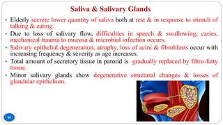 Saliva & Salivary Glands
48
• Elderly secrete lower quantity of saliva both at rest & in response to stimuli of
talking & eating.
• Due to loss of salivary flow, difficulties in speech & swallowing, caries,
mechanical trauma to mucosa & microbial infection occurs.
• Salivary epithelial degeneration, atrophy, loss of acini & fibroblasts occur with
increasing frequency & severity as age increases.
• Total amount of secretory tissue in parotid is gradually replaced by fibro-fatty
tissue.
• Minor salivary glands show degenerative structural changes & losses of
glandular epithelium.
 