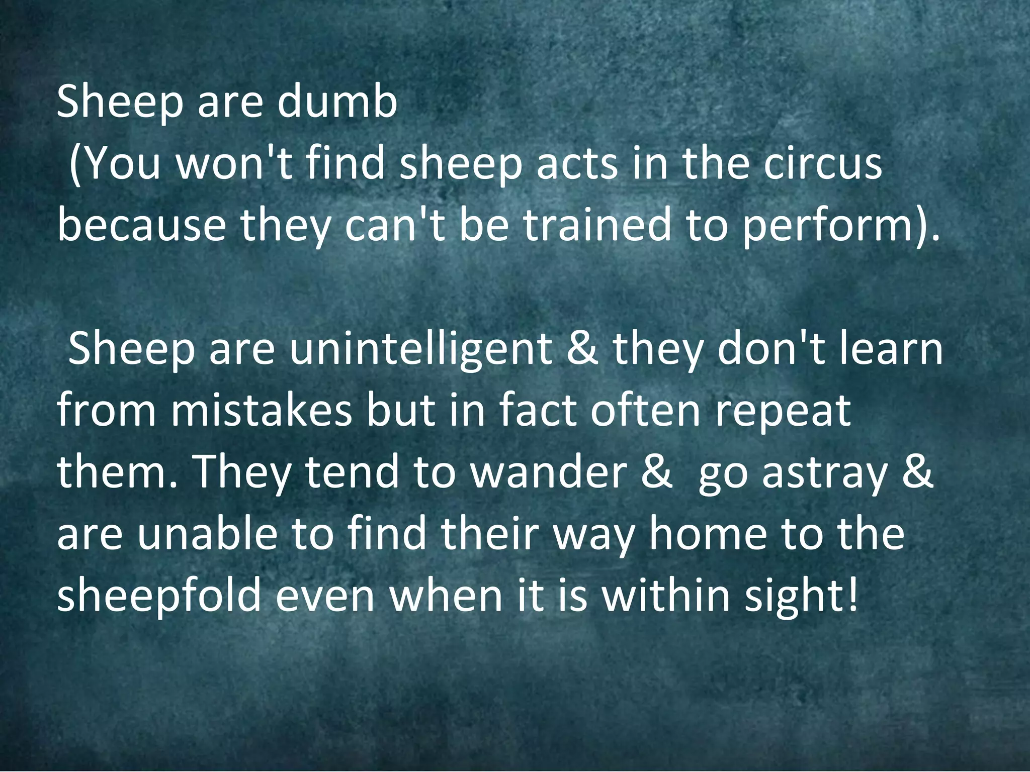 Sheep are dumb
(You won't find sheep acts in the circus
because they can't be trained to perform).

 Sheep are unintelligent & they don't learn
from mistakes but in fact often repeat
them. They tend to wander & go astray &
are unable to find their way home to the
sheepfold even when it is within sight!
 