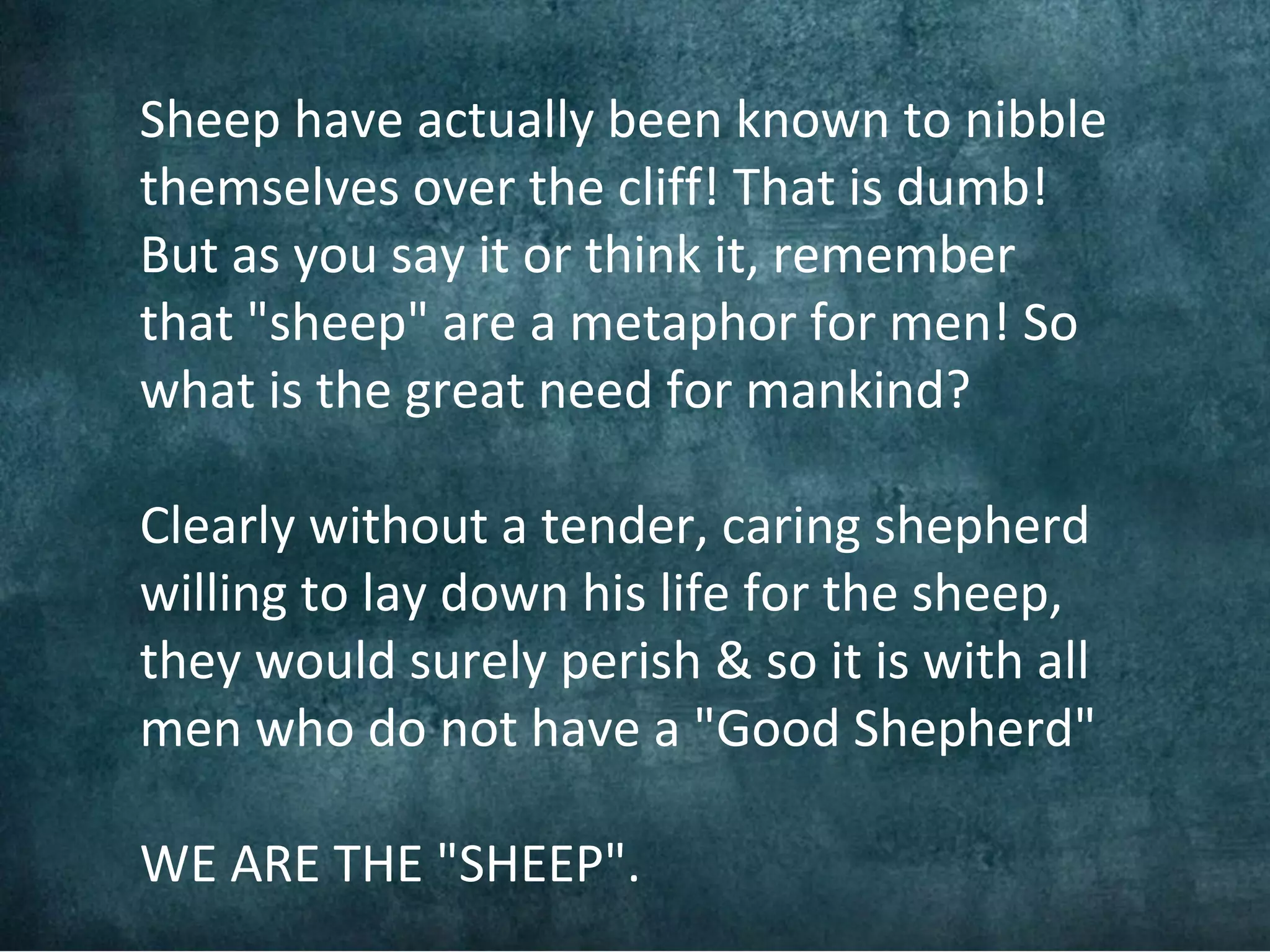 Sheep have actually been known to nibble
themselves over the cliff! That is dumb!
But as you say it or think it, remember
that "sheep" are a metaphor for men! So
what is the great need for mankind?

Clearly without a tender, caring shepherd
willing to lay down his life for the sheep,
they would surely perish & so it is with all
men who do not have a "Good Shepherd"

WE ARE THE "SHEEP".
 