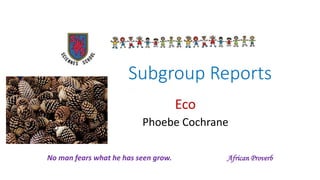 Subgroup Reports
Eco
Phoebe Cochrane
I've Been Waiting for This Night
No man fears what he has seen grow. African Proverb
 
