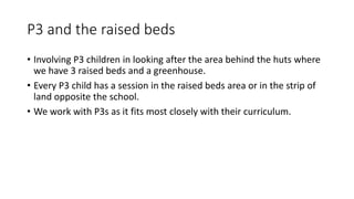 P3 and the raised beds
• Involving P3 children in looking after the area behind the huts where
we have 3 raised beds and a greenhouse.
• Every P3 child has a session in the raised beds area or in the strip of
land opposite the school.
• We work with P3s as it fits most closely with their curriculum.
 