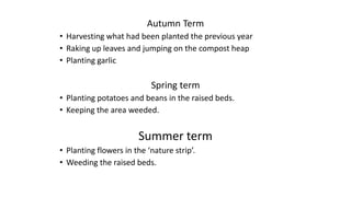 Autumn Term
• Harvesting what had been planted the previous year
• Raking up leaves and jumping on the compost heap
• Planting garlic
Spring term
• Planting potatoes and beans in the raised beds.
• Keeping the area weeded.
Summer term
• Planting flowers in the ‘nature strip’.
• Weeding the raised beds.
 