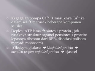  Kegagalan pompa Ca2+  masuknya Ca2+ ke
dalam sel  merusak beberapa komponen
seluler.
 Deplesi ATP lama  sintesis protein ↓(ok
rusaknya struktur organel pensintesis protein:
lepasnya ribosom dari RER, disosiasi polisom
menjadi monosom)
 ↓Oksigen, glukosa  Misfolded protein 
memicu respon unfolded protein  jejas sel
 